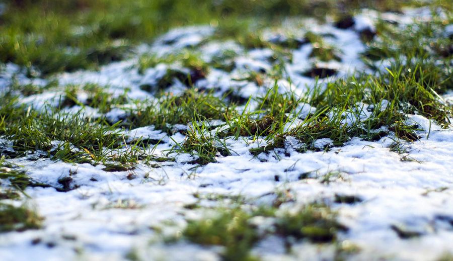 وتامالى تۋرالى ورامدى وي