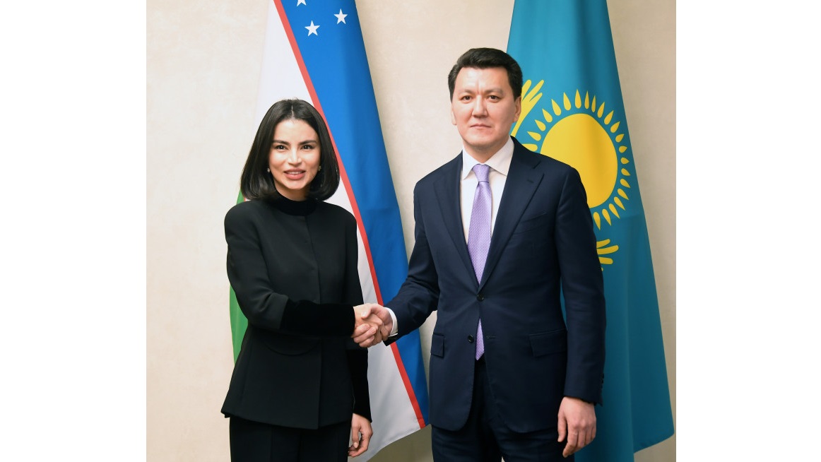 ەرلان قارين وزبەكستان پرەزيدەنتىنىڭ كومەكشىسىمەن كەزدەستى