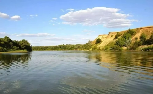 تەكە كولى مەملەكەت مەنشىگىنە قايتارىلدى