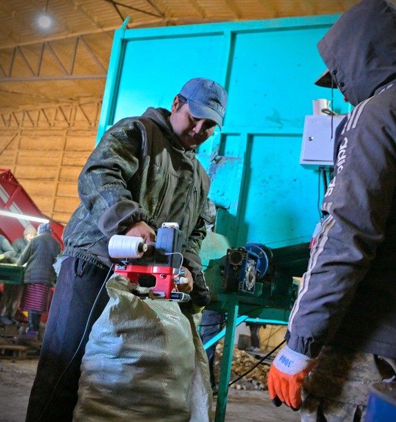 بيزنەس نىساندارى كوبەيدى