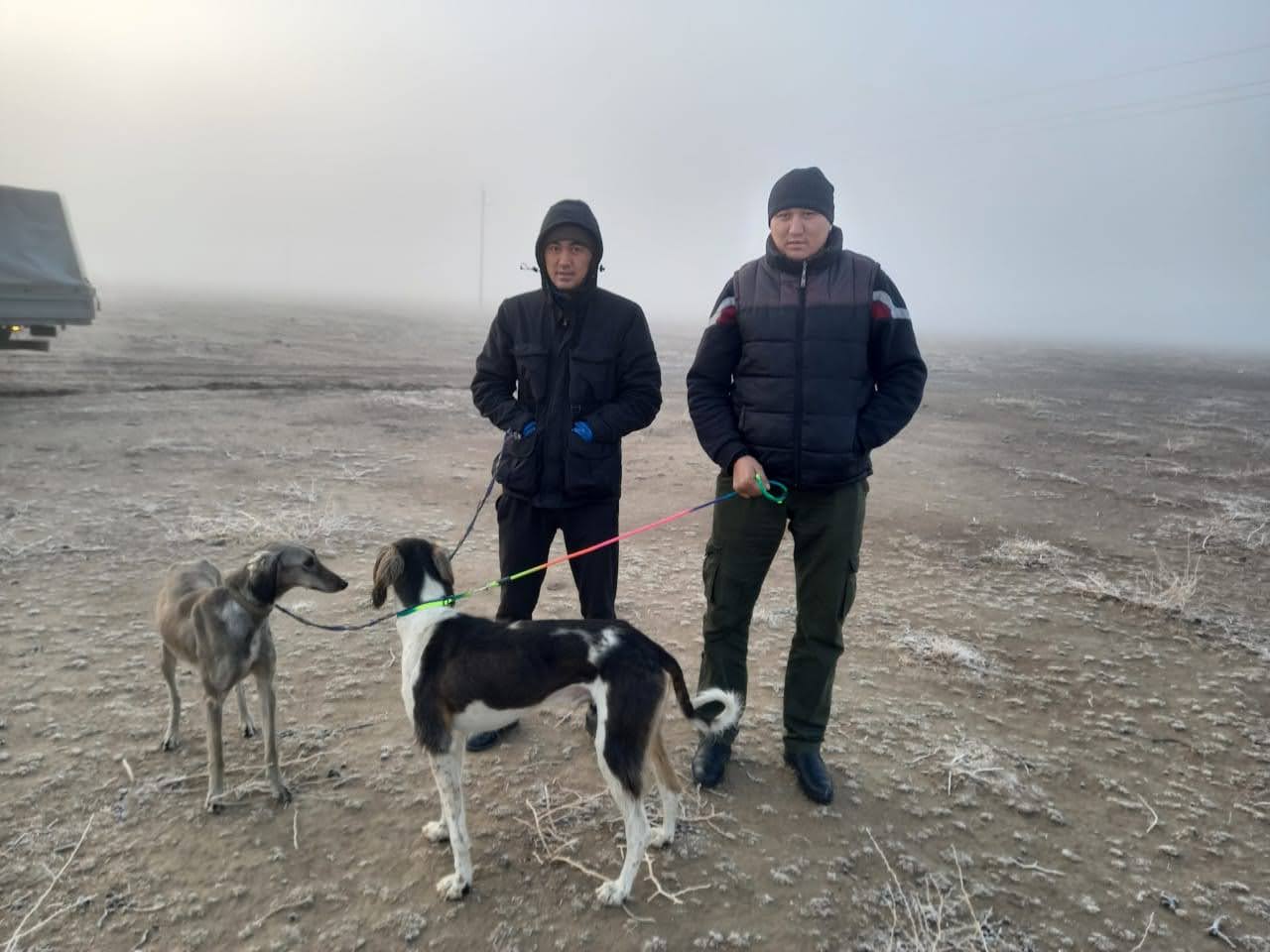 اعايىندىلاردىڭ اۋەستىگى – تازى جۇگىرتۋ