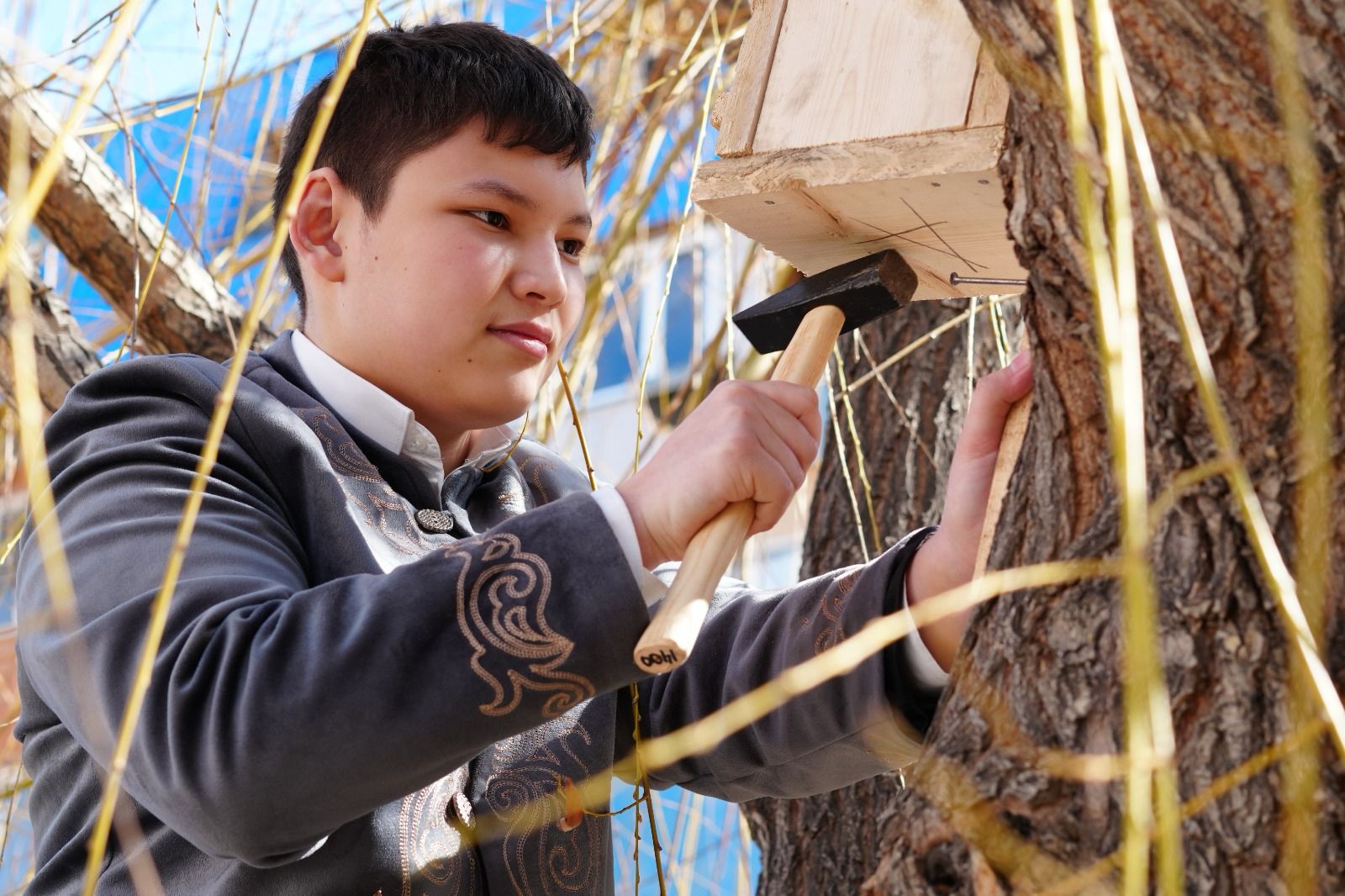 مىڭ قۇسقا ۇيا جاسادى