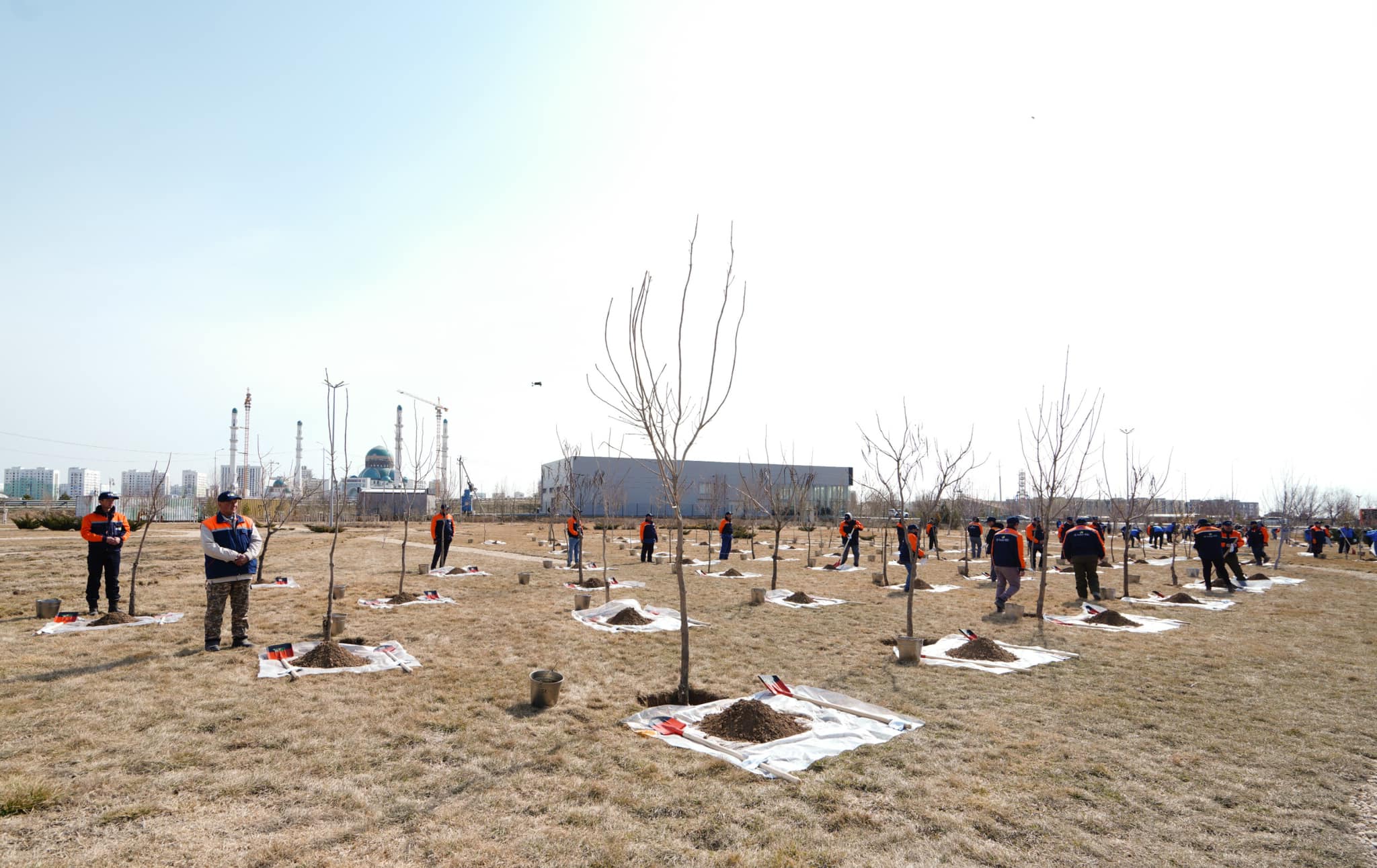 اعاش بىتكەن كوكتەمدە جايقالادى