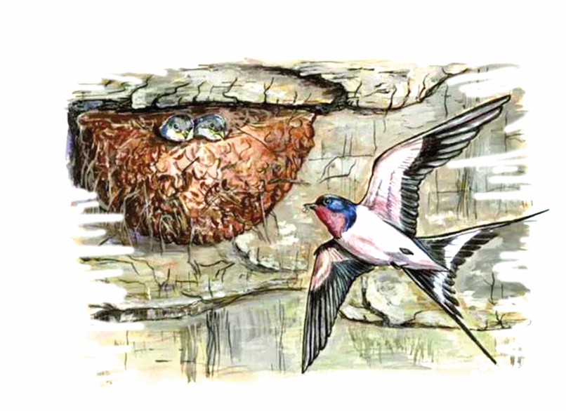 قارلىعاشتىڭ ۇياسى