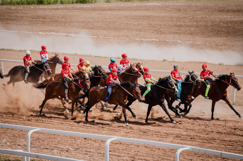 پاۆلودار وبلىسىندا وتكەن بايگەدە شاباندوز جىعىلىپ, اۋىر جاراقات الدى