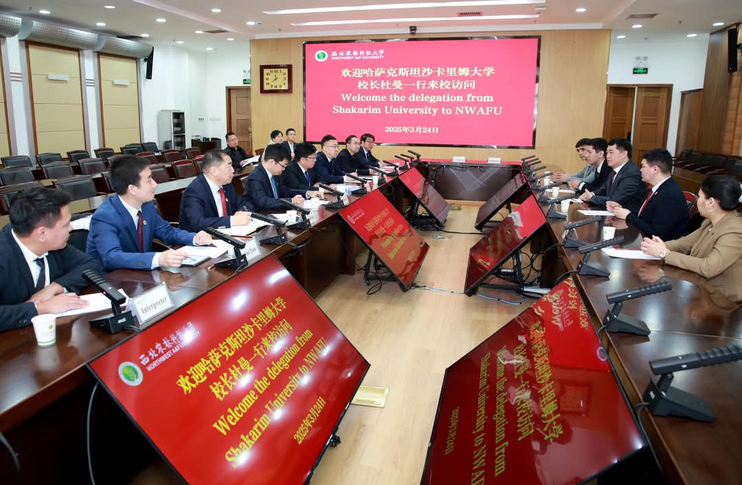 ۋنيۆەرسيتەت