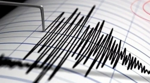 جامبىل وبلىسىنىڭ 8 اۋىلى مەن شۋ قالاسىندا جەر سىلكىندى