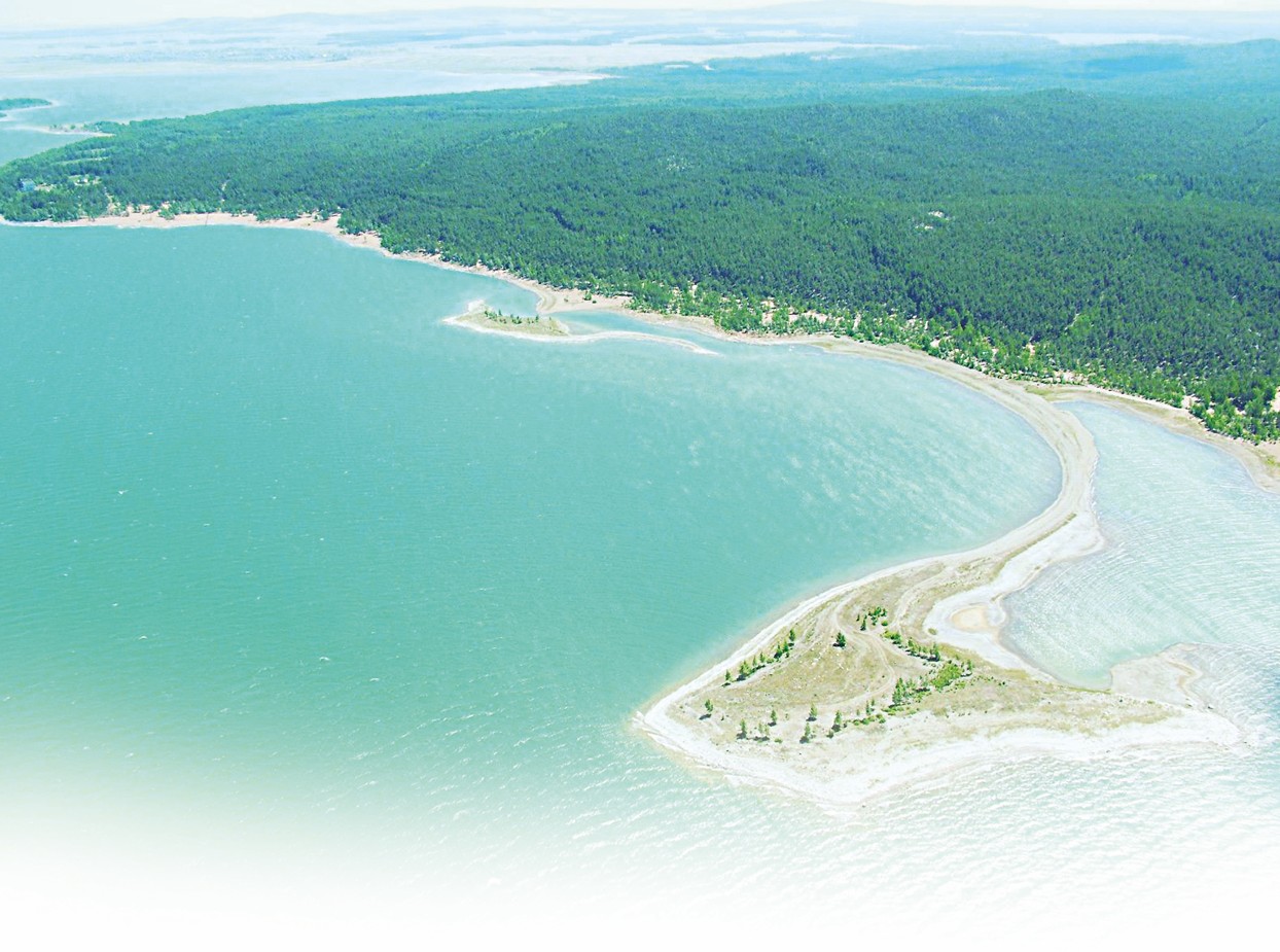 كەلىپ قايت كوكشە تورىنە!