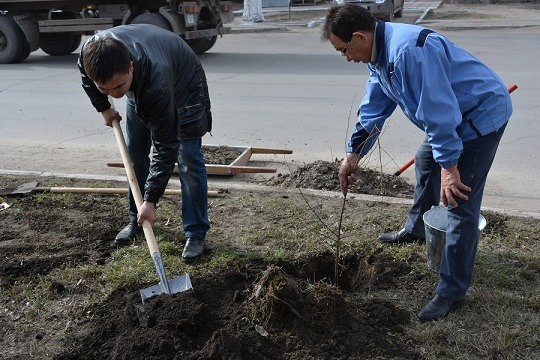 قوستانايدا تازالىق ايى باستالدى