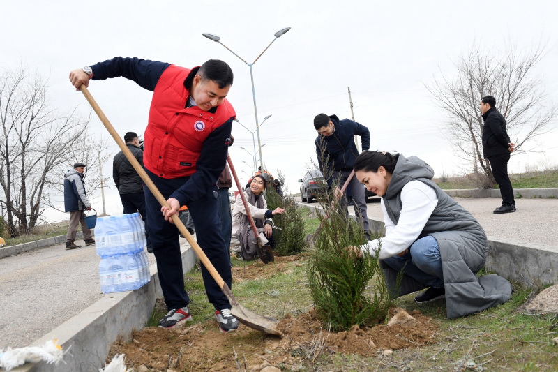 1205 ءتۇپ اعاش ەكتى