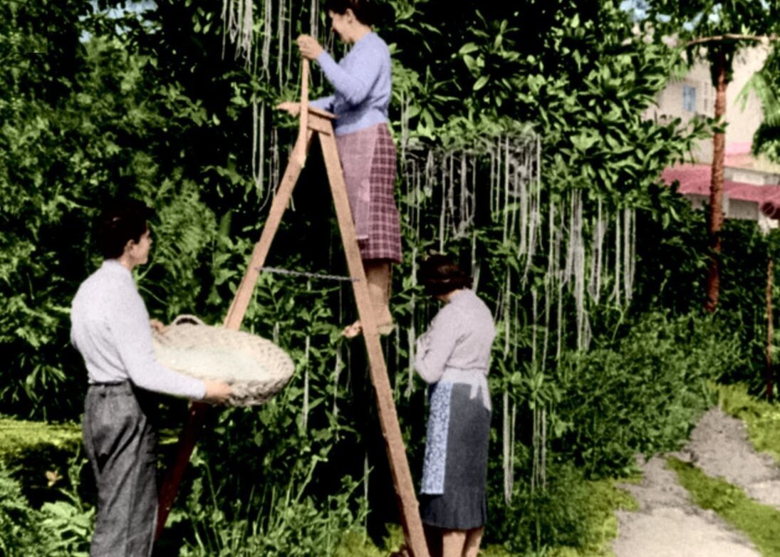 شۆەيتسارياداعى «ماكارون اعاشى»