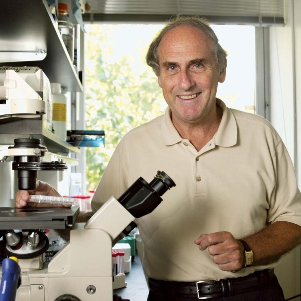 بۇيىرعان كەتپەيدى