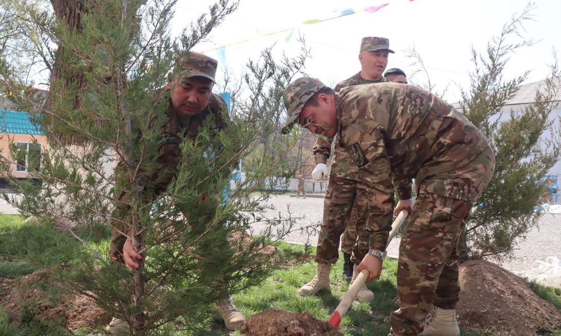 جەڭىستىڭ 80 جىلدىعىنا ارنالىپ سەكسەن كوشەت وتىرعىزىلدى