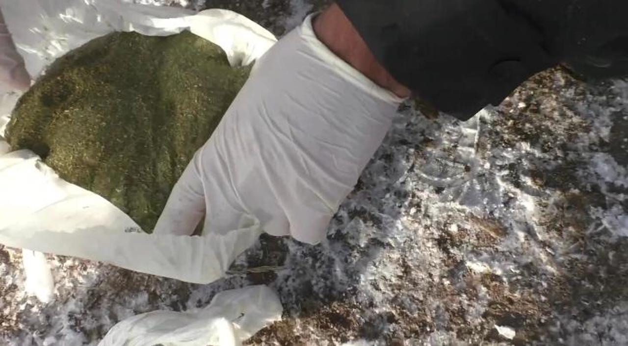 دارمەك: بىرنەشە كيلوگرامم ەسىرتكى تاركىلەندى