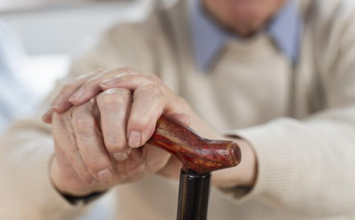 جەتىسۋ وبلىسىندا ءجاسوسپىرىم 86 جاستاعى قاريانى اياۋسىز ۇرعان