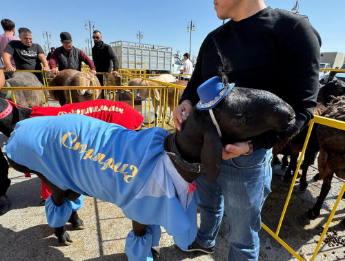 تۇركىستاندا ەتتى, مايلى قويلاردىڭ V حالىقارالىق كورمەسى ءوتتى