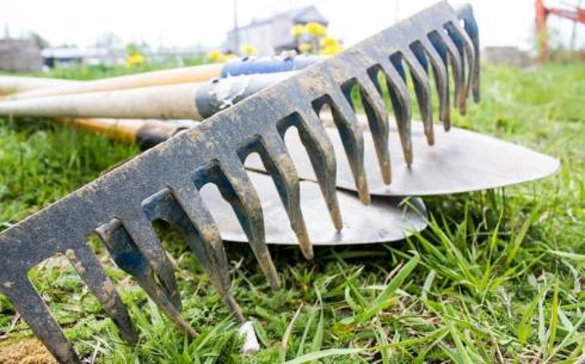 قوسشىنىڭ كوركى كىرىپ كەلەدى