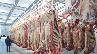 سەمەيدە ەت كومبيناتى سالىنادى