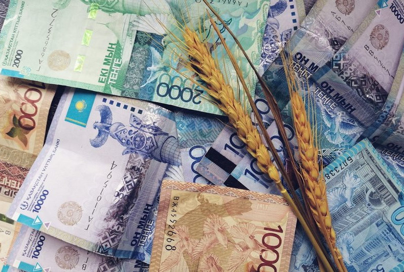 ۇكىمەت استىق ءوندىرىسىن دامىتۋعا 40 ملرد تەڭگە ءبولدى