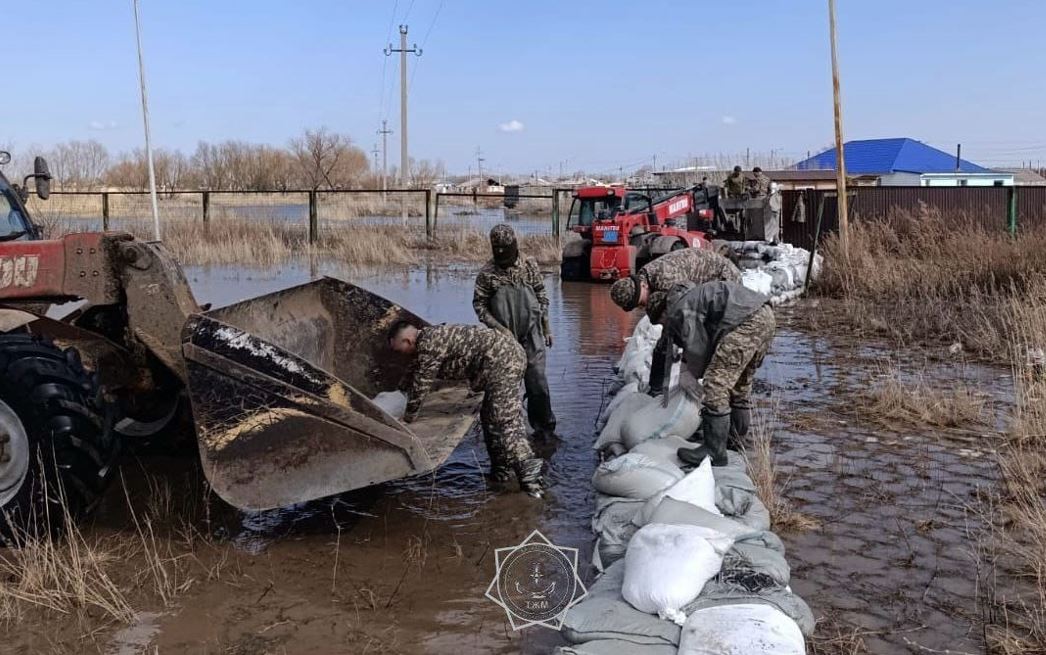 اقمولا وبلىسىندا قۇتقارۋشىلار تاسقىننىڭ الدىن الدى
