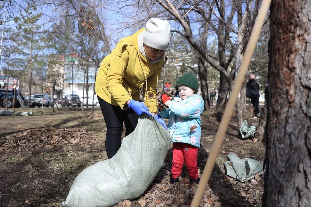 165 مىڭ اعاش كوشەتى ەگىلەدى