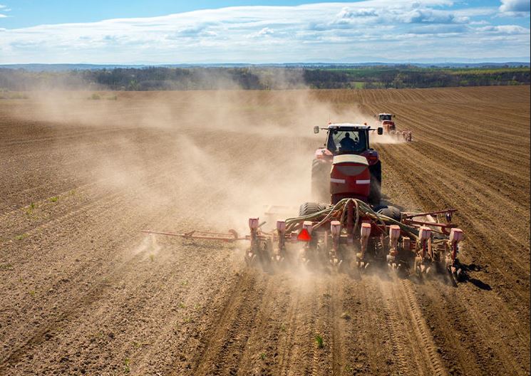  ۇلىتاۋ وبلىسىندا 32 مىڭ گەكتار ەگىس القابىنا داقىل ەگىلەدى