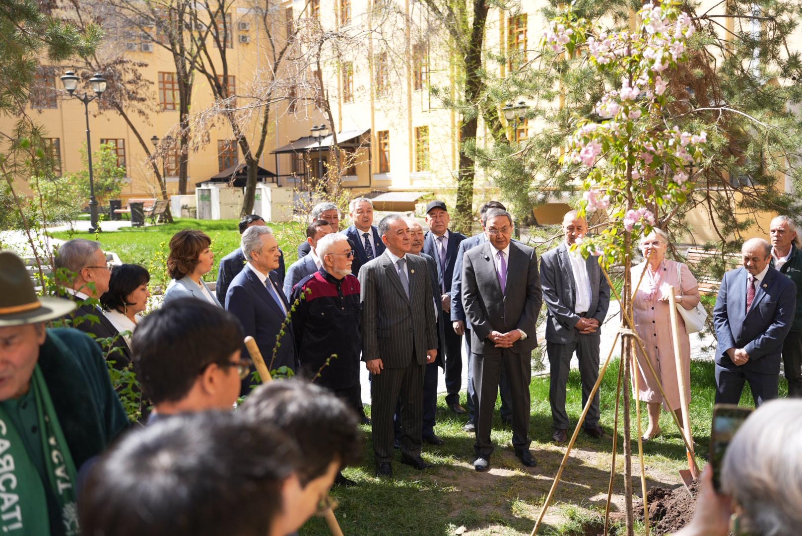 «ساتباەۆ ساكۋراسى» قايتا جاڭعىرتىلدى