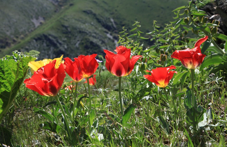 قويناۋى قازىناعا تولى بەرىكقارا