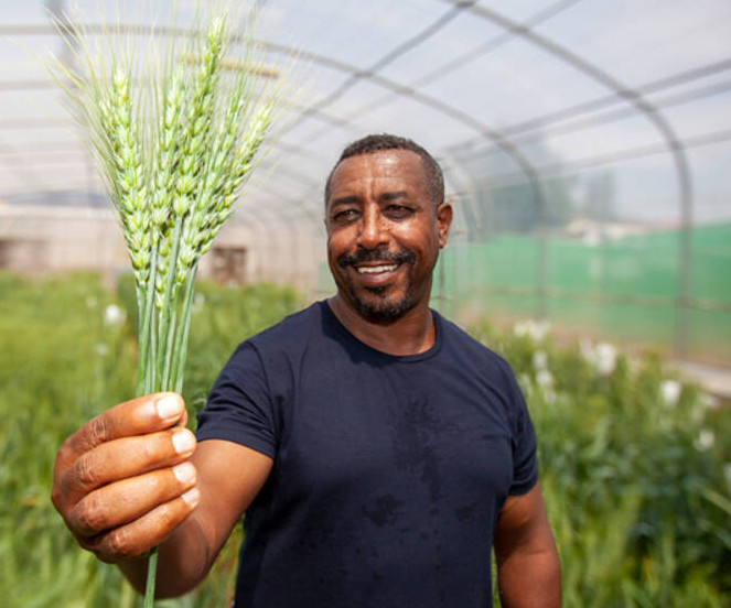 گەنەتيكالىق رەسۋرستار ەلگە قايتارىلدى