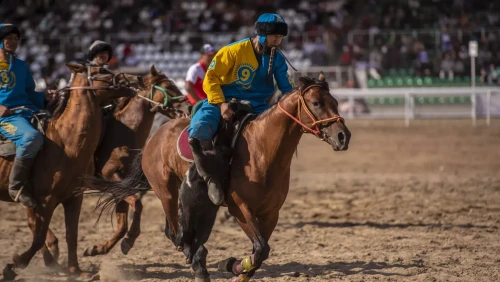 كوشپەلىلەر ويىنى تۋرالى تۇسىرىلگەن فيلم بايگەگە تۇسپەك