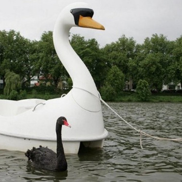 كاتامارانعا عاشىق بولعان اققۋ