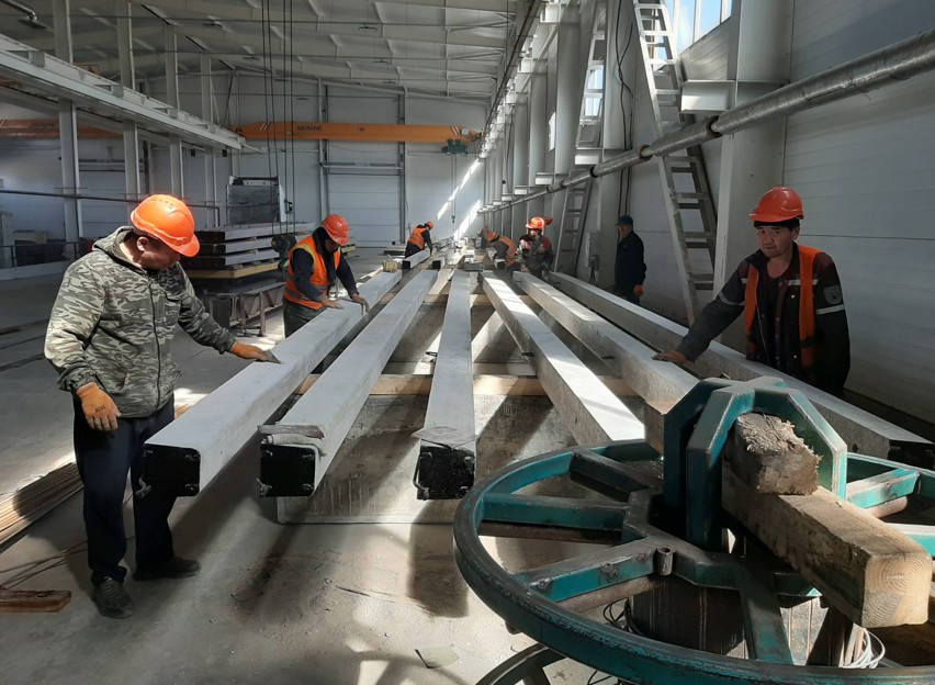 ينۆەستيتسيانى ءۇش ەسە ارتتىردى