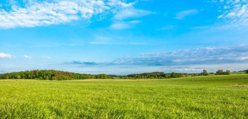 اباي وبلىسىندا 64,2 مىڭ گەكتار جەر مەملەكەتكە قايتارىلعان