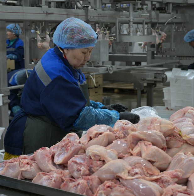 قايتا جاندانعان كاسىپورىن