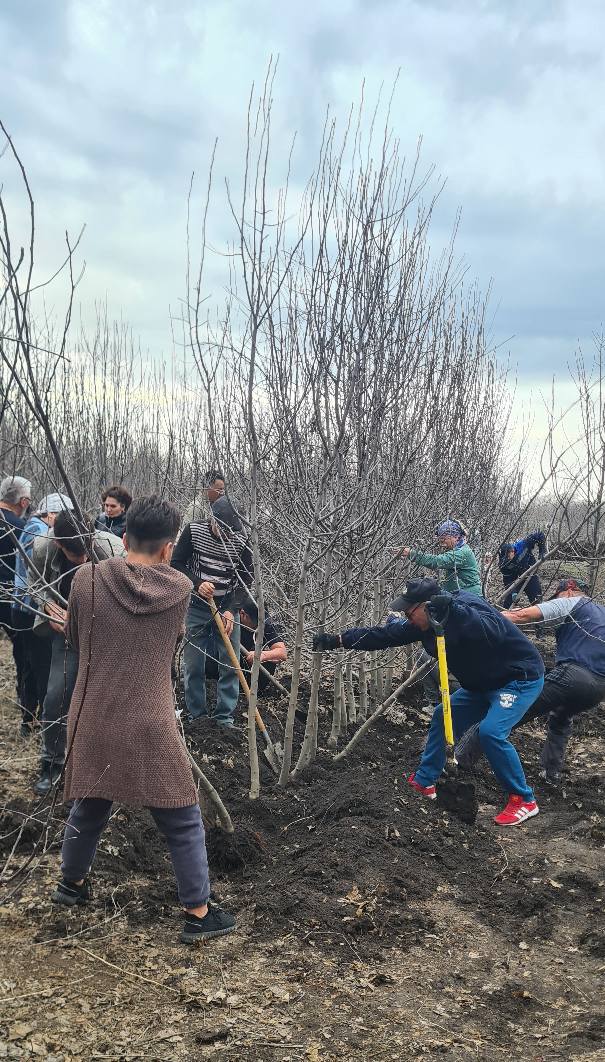 تەگىن كوشەت تاراتتى