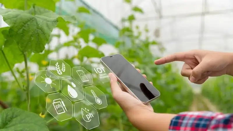 «اقىلدى جاسىل فەرما» كومەكتەسەدى