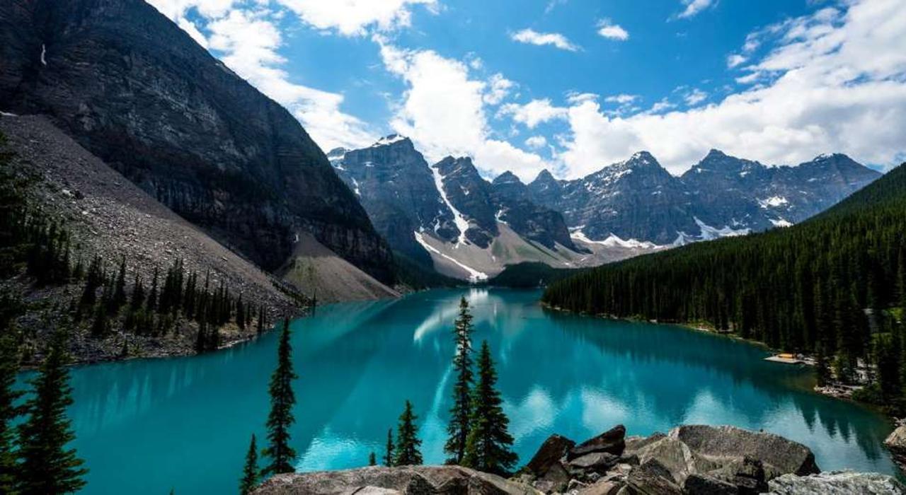 شەتەلدىك قوناقتاردىڭ قورجىنى قوماقتى