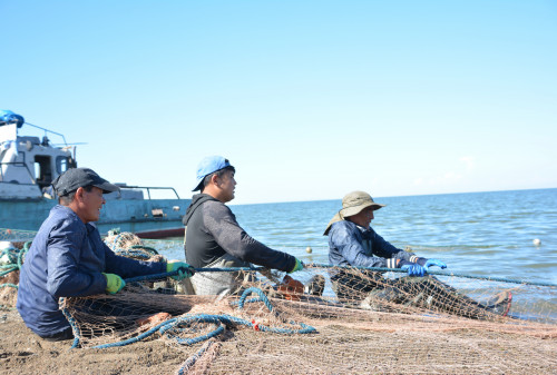 شقو-دا بالىق اۋلاۋعا تىيىم سالىندى