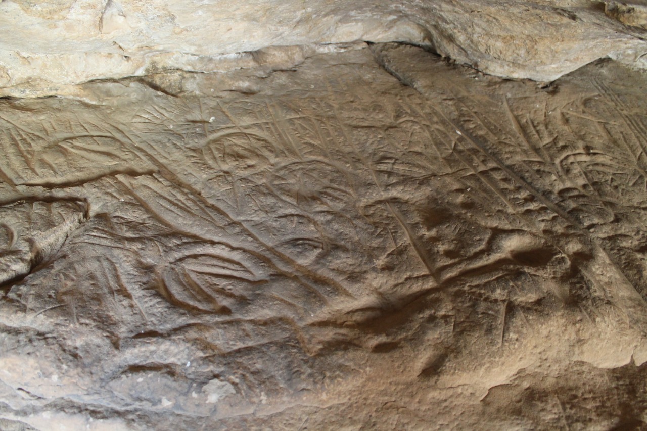 تولەۋبۇلاق پەتروگليفتەرى جويىلىپ بارادى