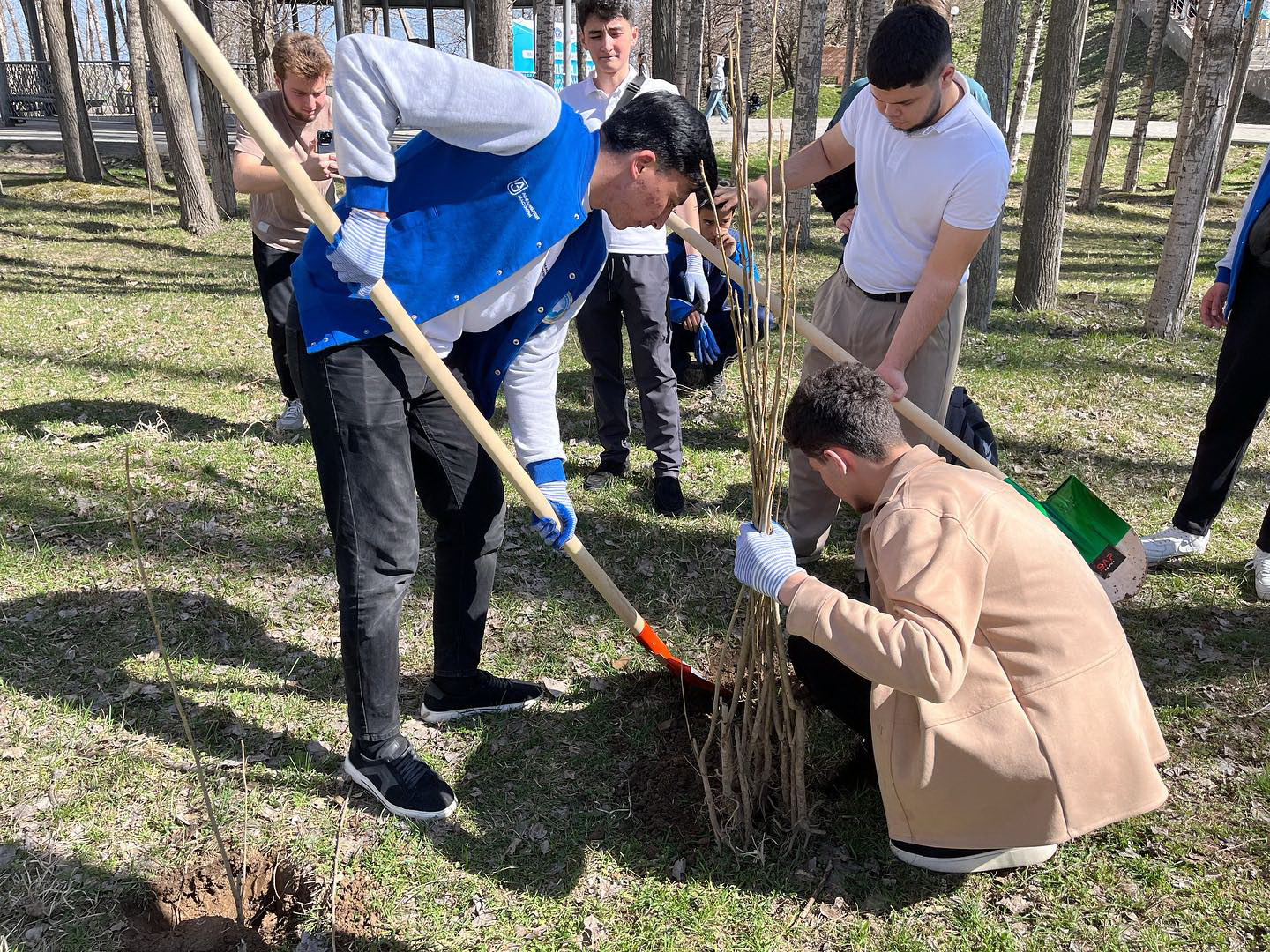 شىمكەنتتە ساكۋرا گۇلدەدى