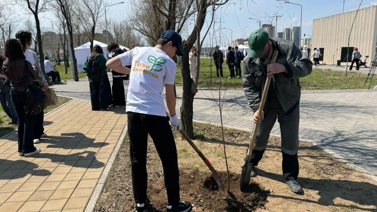 قاراعاندىلىقتار ساياباقتار مەن اۋلالاردى كوگالداندىردى