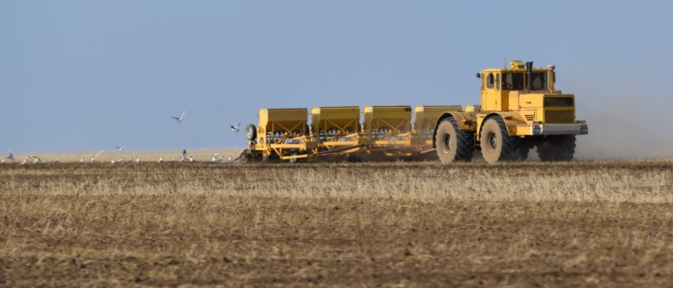 شارۋالار ناۋقانعا ساقاداي ساي