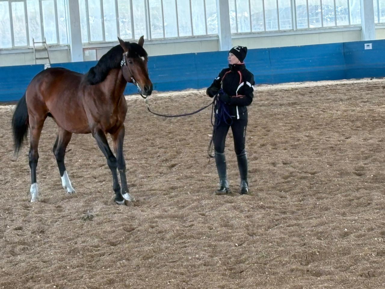 تۇرقى بولەك تۇلپارلار تاڭدالدى