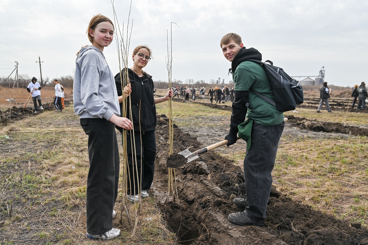15 000 كوشەت ەگىلدى