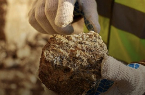 ەلىمىزدە پايدالى قازبالاردى زاڭسىز ءوندىرۋ توقتاتىلادى