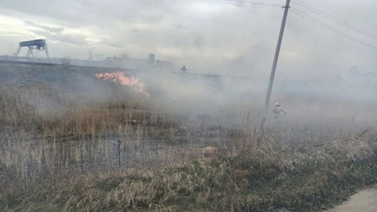 اقمولادا 40 گەكتار جەردەگى قۇرعاپ ءشوپ ورتەندى