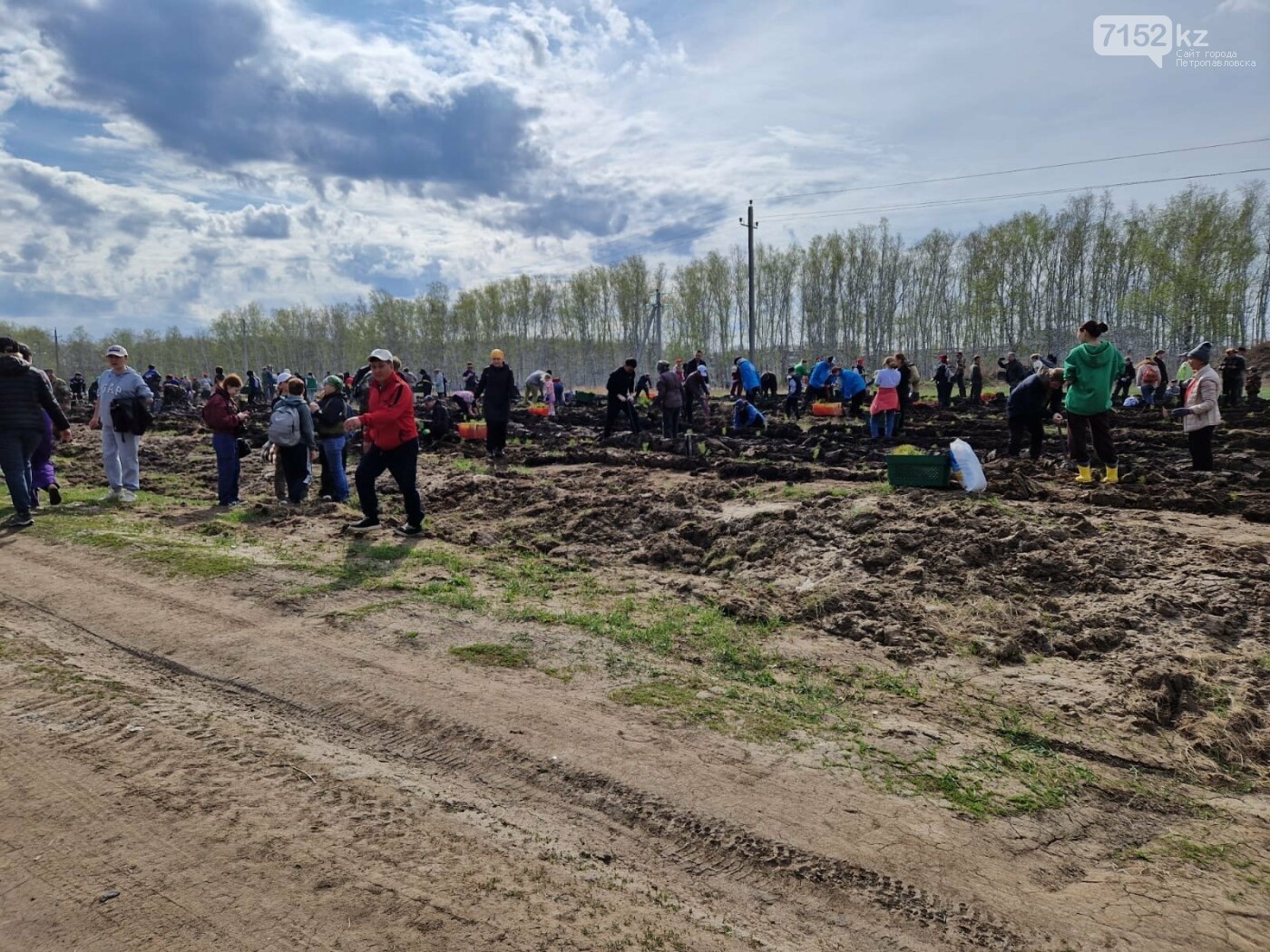 قاراعايلى ورمان وسەتىن بولادى