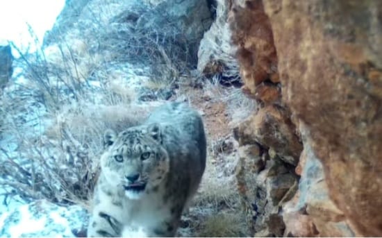 قار بارىسى تاعى فوتوتۇزاققا ءىلىندى