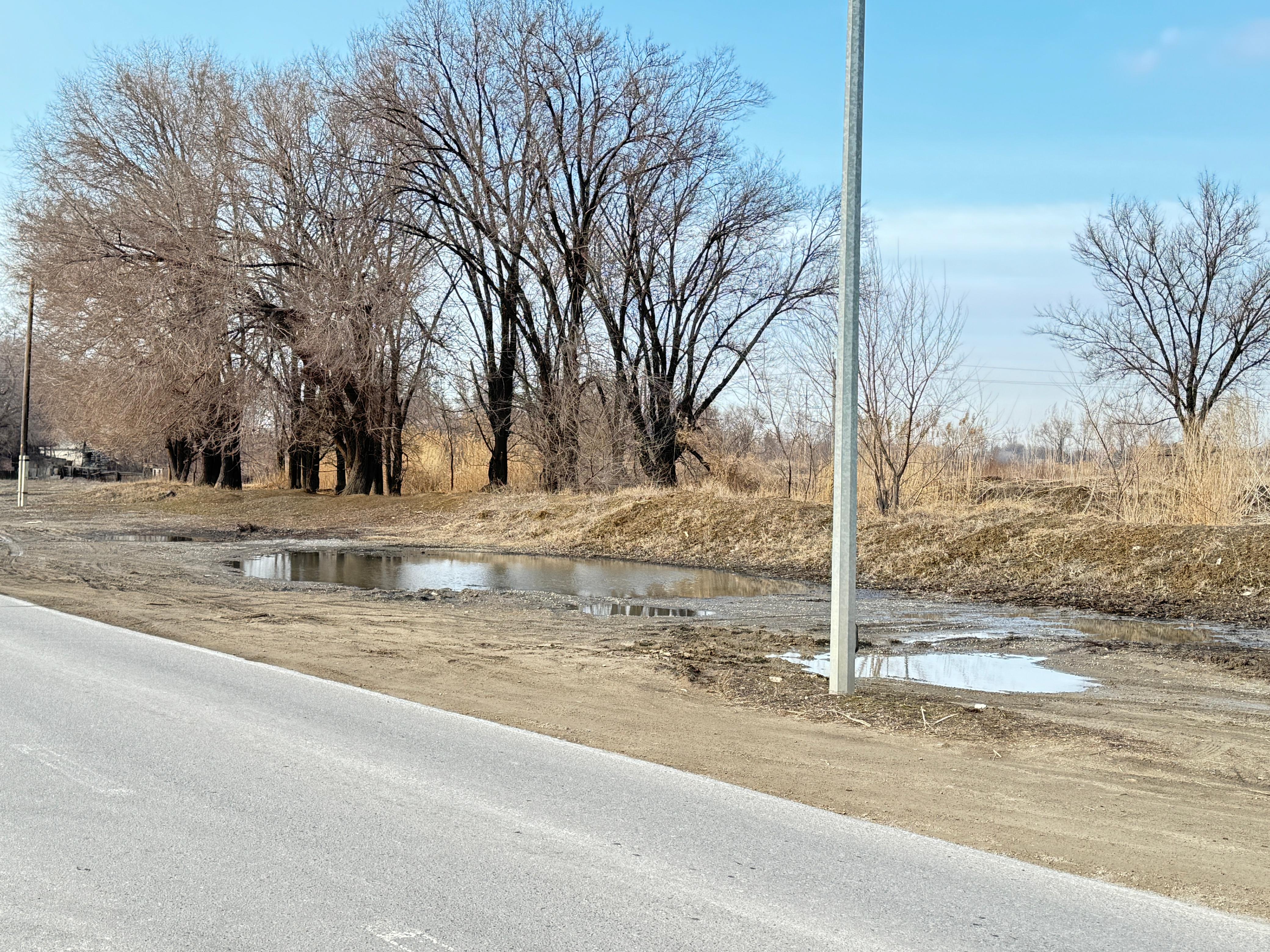 تالدىقورعاندا 2 مىڭ توننا قوقىس شىعارىلدى