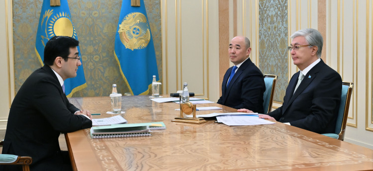 پرەزيدەنت «بايتەرەك» حولدينگىنىڭ باسشىسىن قابىلدادى